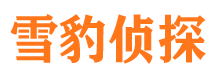 保定捉小三公司